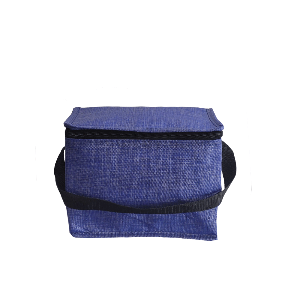 Personal Cooler Bag 6L