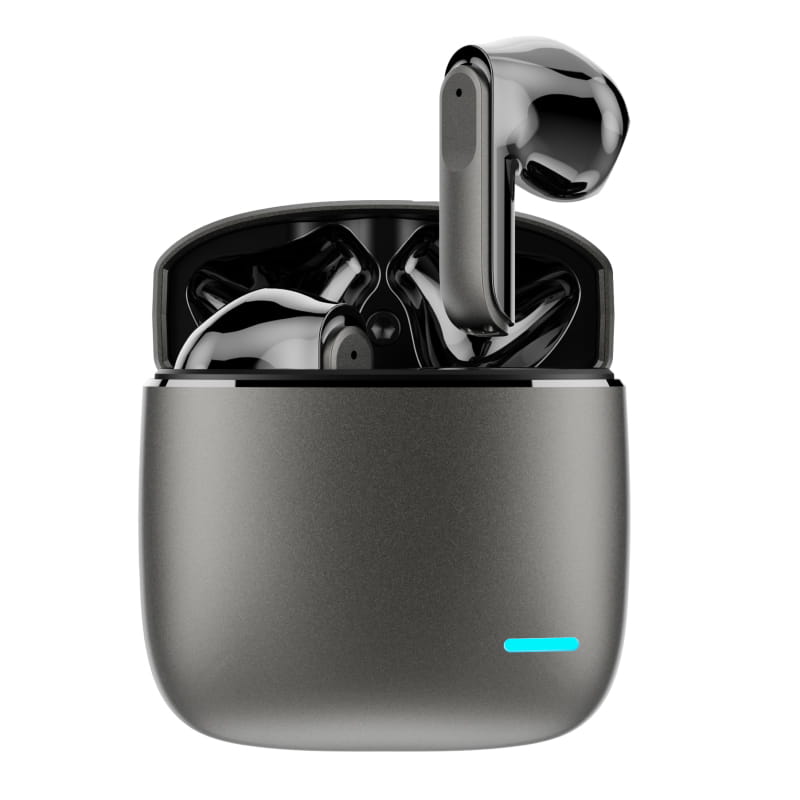 Arena Premium EarBuds