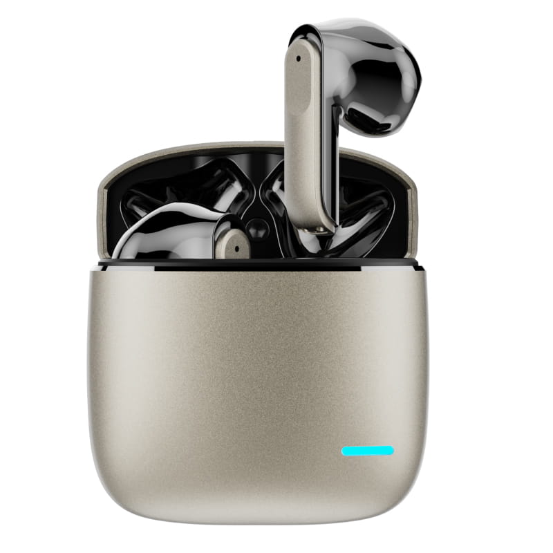 Arena Premium EarBuds