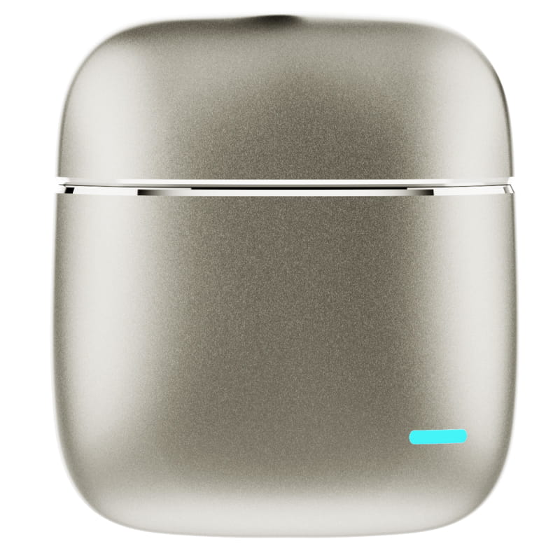 Arena Premium EarBuds